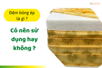 Đệm bông ép là gì ? Có nên sử dụng hay không ?