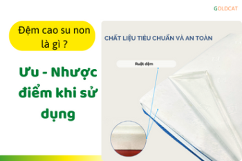 Đệm cao su non là gì ? Ưu nhược điểm khi sử dụng