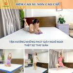 Đệm Cao Su Non Cho Giường GoldCat