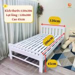 Giường Đa Năng Goldcat 2in1 Kích Thước 1m2x2m